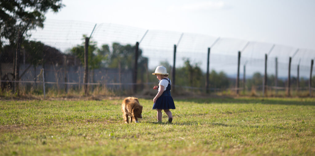 La natura insegna e la curiosità cresce